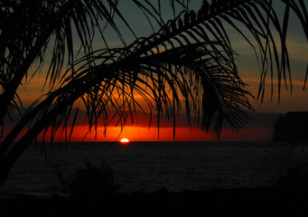 河南省鹤壁山城区到山东日照坐 小轿车有多少公里-