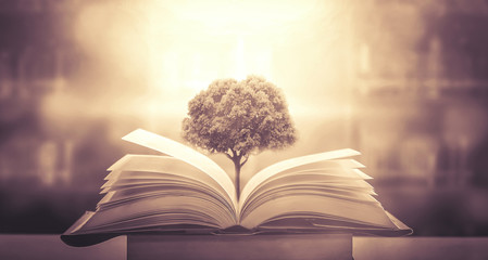 地球会如何灭亡？