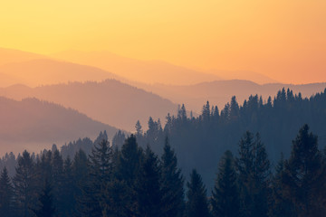 河南省鹤壁山城区到山东日照坐 小轿车有多少公里-