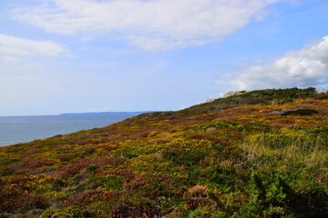 地球会如何灭亡？