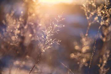 路由器拨号老是掉线怎么弄