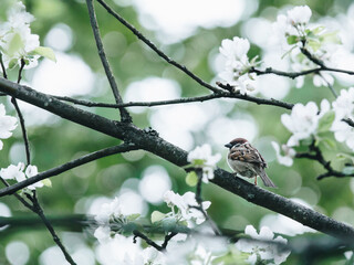 南京适合自习的地方。