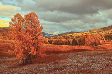 南京适合自习的地方。