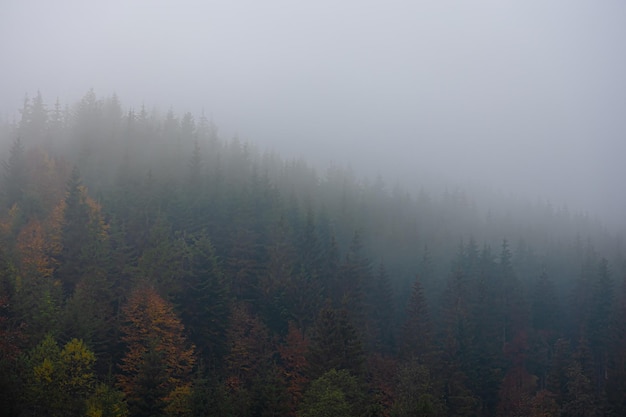 十大公认的最强记录仪