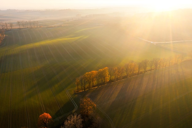 路由器拨号老是掉线怎么弄